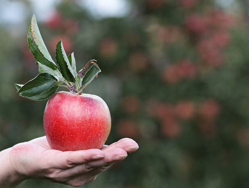 Can What You Eat Affect Your Mental Health?